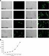 FIG. 4.