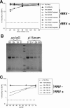 FIG. 11.