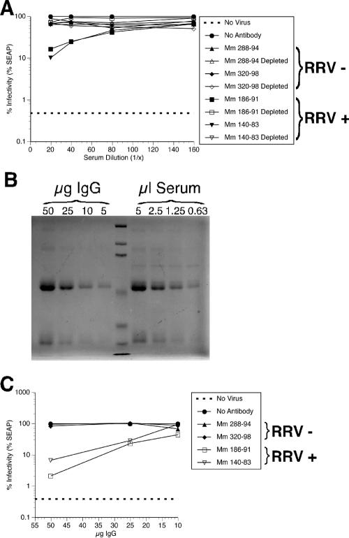 FIG. 11.