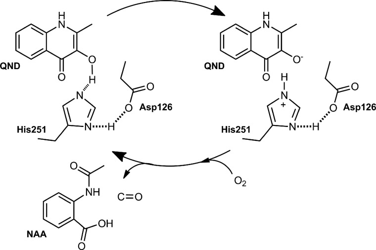 SCHEME 3.