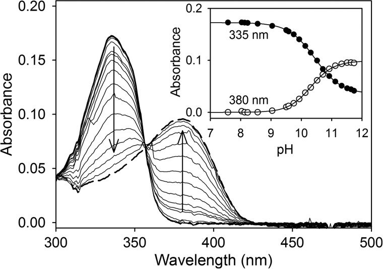 FIGURE 1.