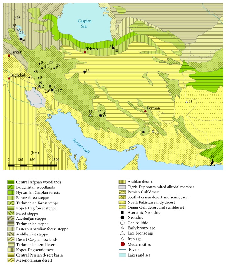 Figure 3