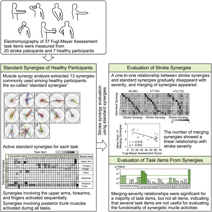 Graphical abstract