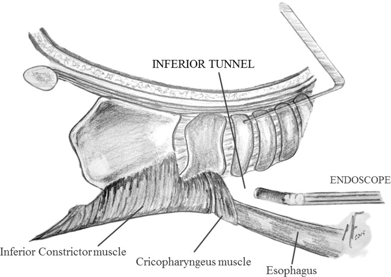 Fig. 3