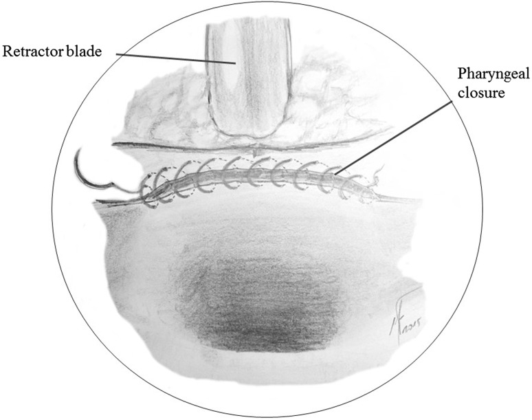 Fig. 7