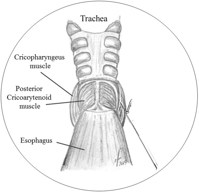 Fig. 4