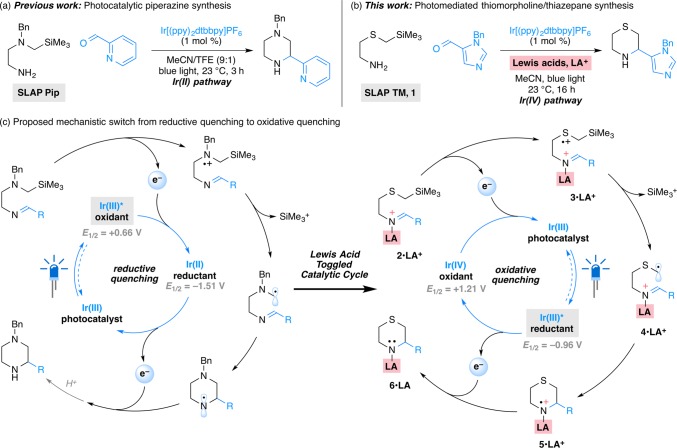 Scheme 1