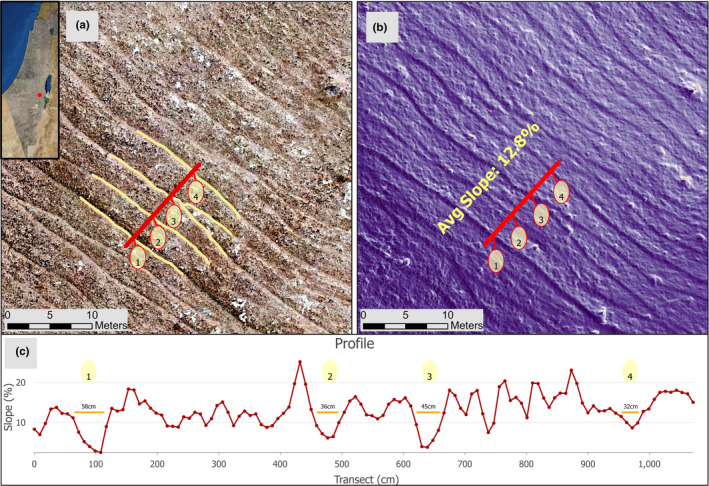 FIGURE 3