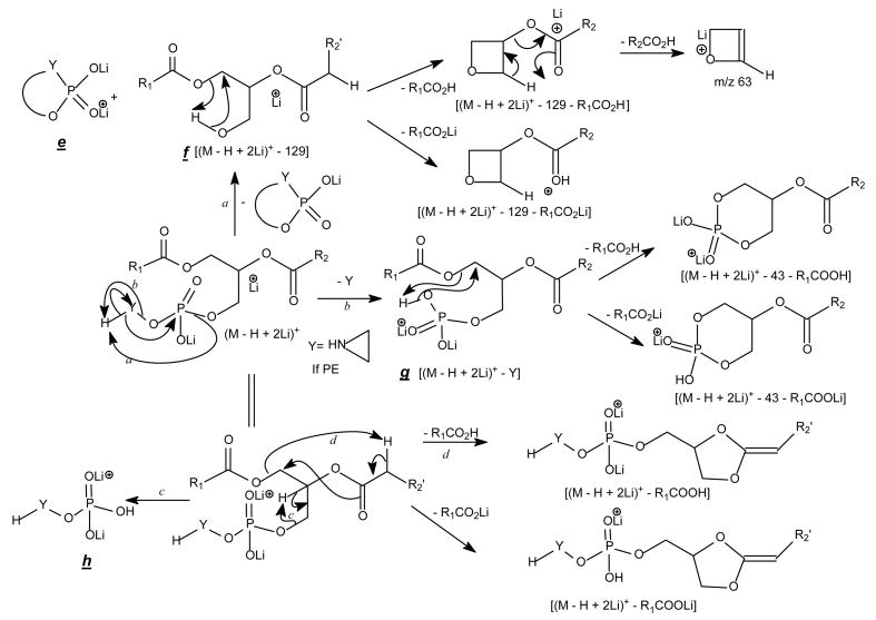 Scheme 5