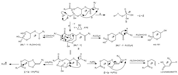 Scheme 4