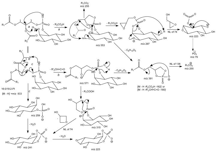 Scheme 9