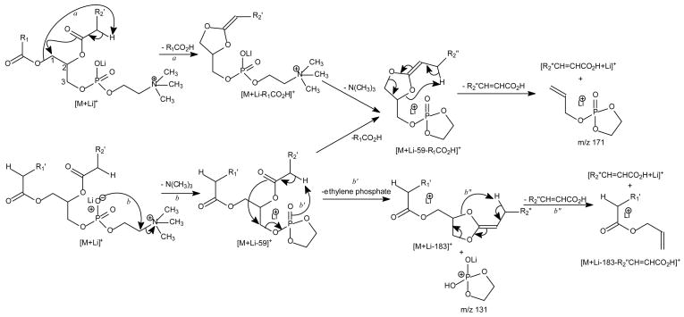 Scheme 3