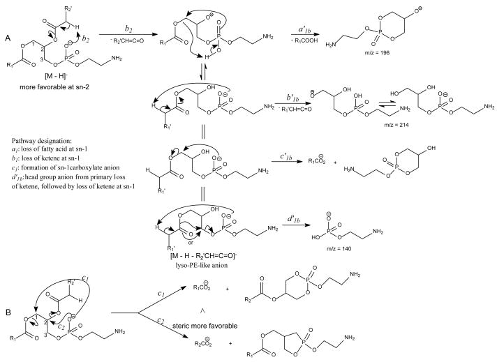 Scheme 7