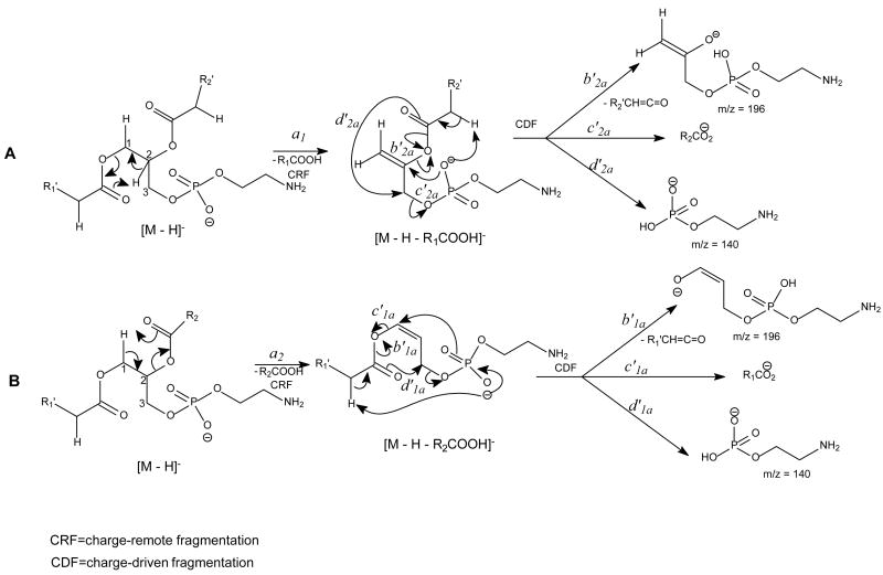 Scheme 8