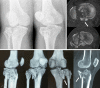 Fig. 4