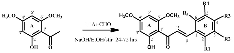 Scheme 1