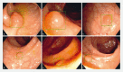 Fig. 2