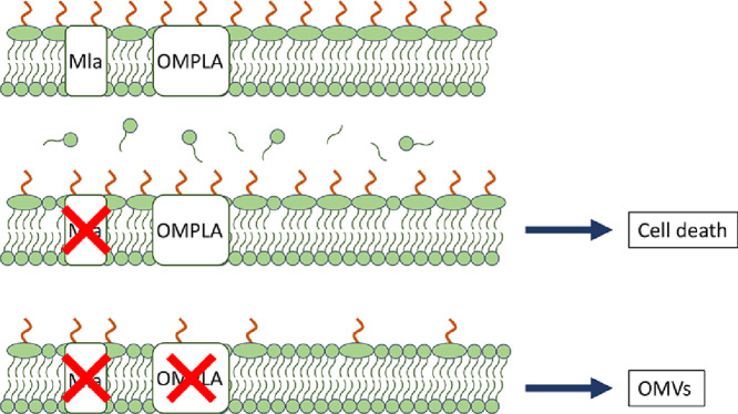 Image, graphical abstract