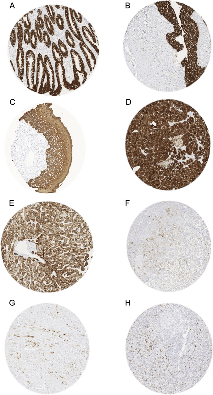 Figure 1.