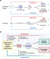 Key Figure, Figure 6.