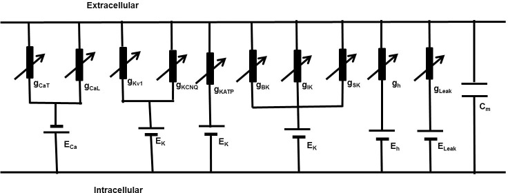 Fig 1