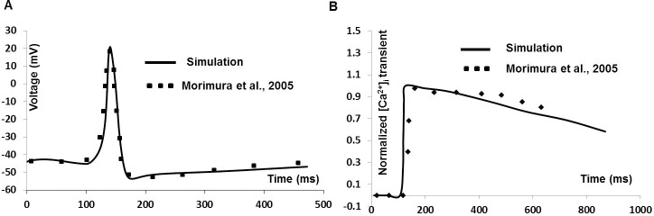 Fig 15