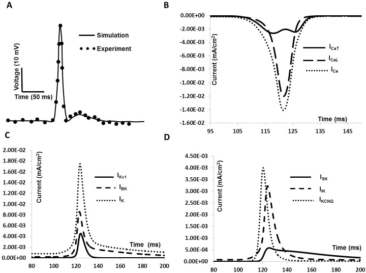 Fig 10