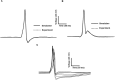 Fig 11