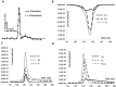 Fig 10