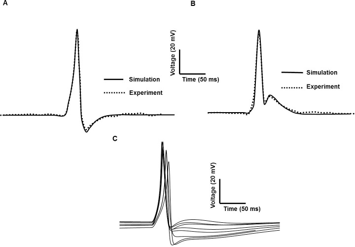 Fig 11