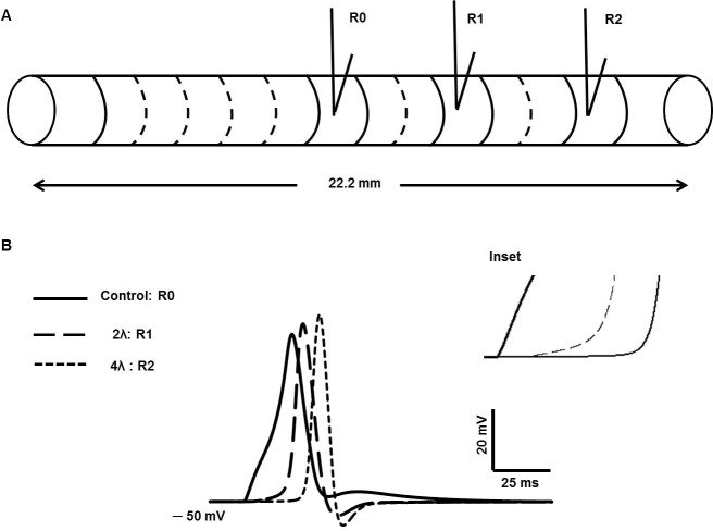 Fig 16