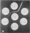127