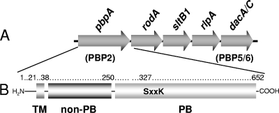 FIG. 1.