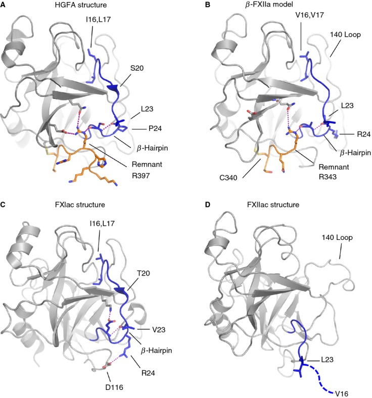 Fig 5