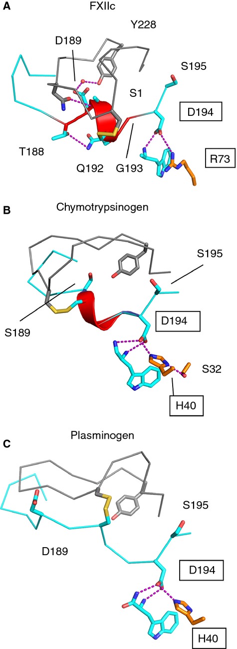 Fig 6