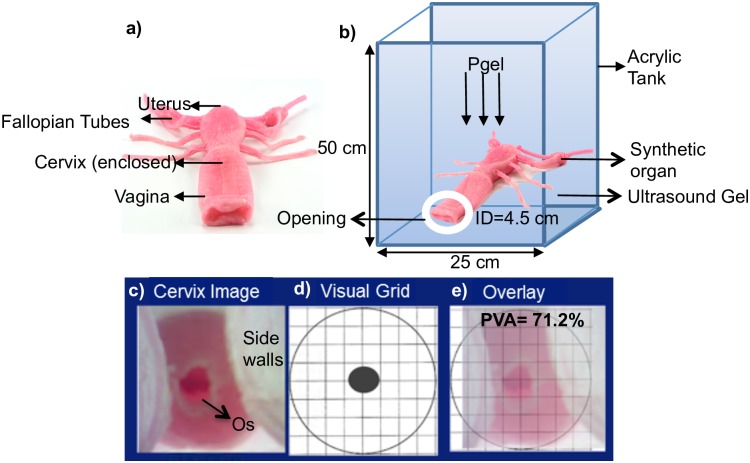 Fig 3