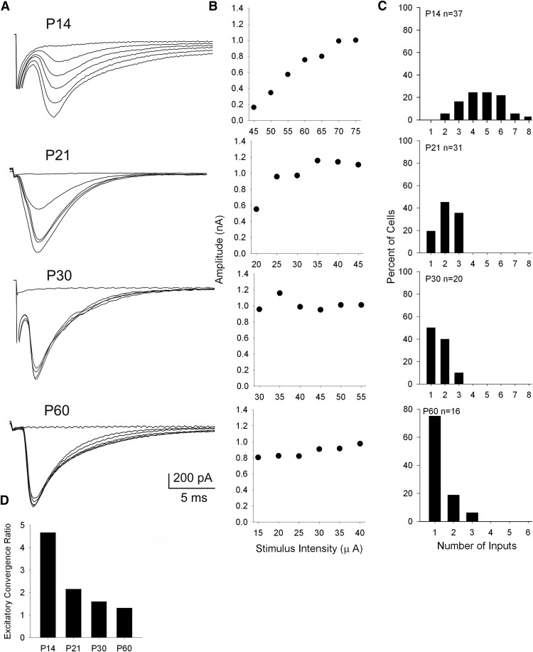 Figure 5.