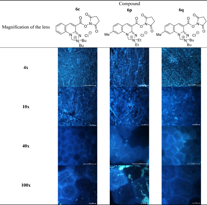 graphic file with name 41598_2022_19262_Tab3_HTML.jpg