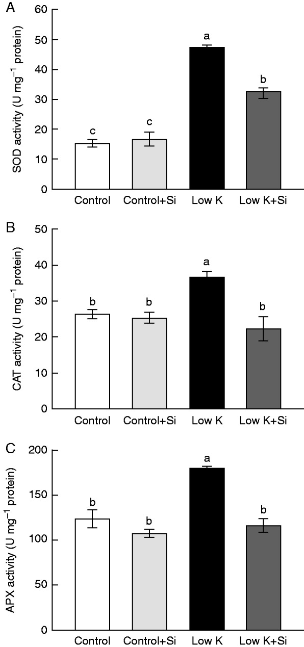 Fig. 9.