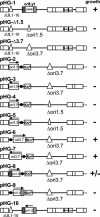 FIG. 2.