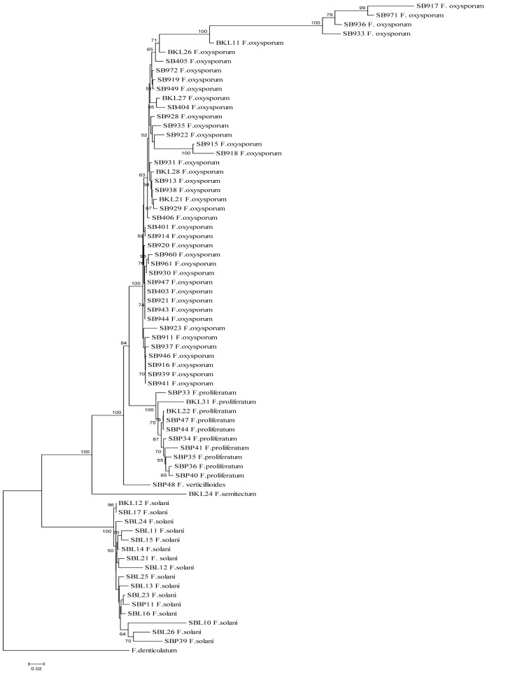 Figure 1: