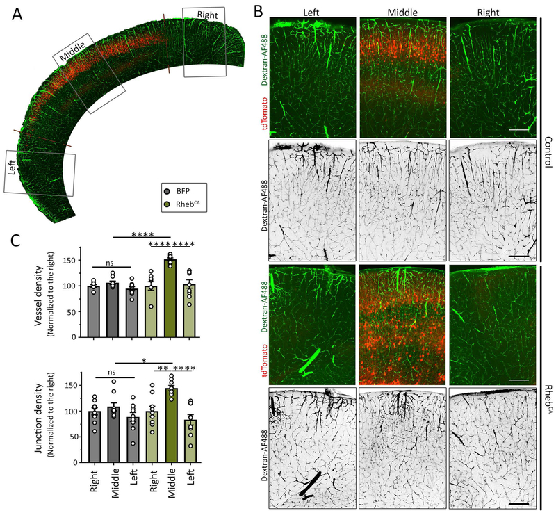 Figure 3: