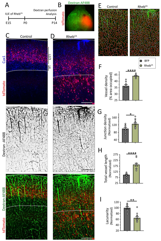 Figure 2: