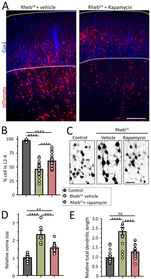 Figure 4: