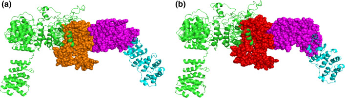 Fig. 3