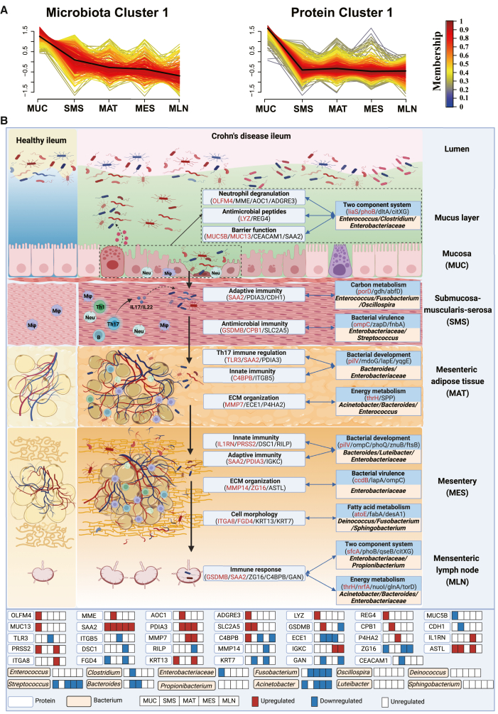 Figure 6