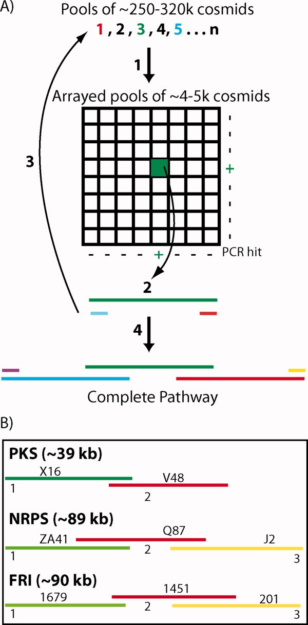 FIGURE 3