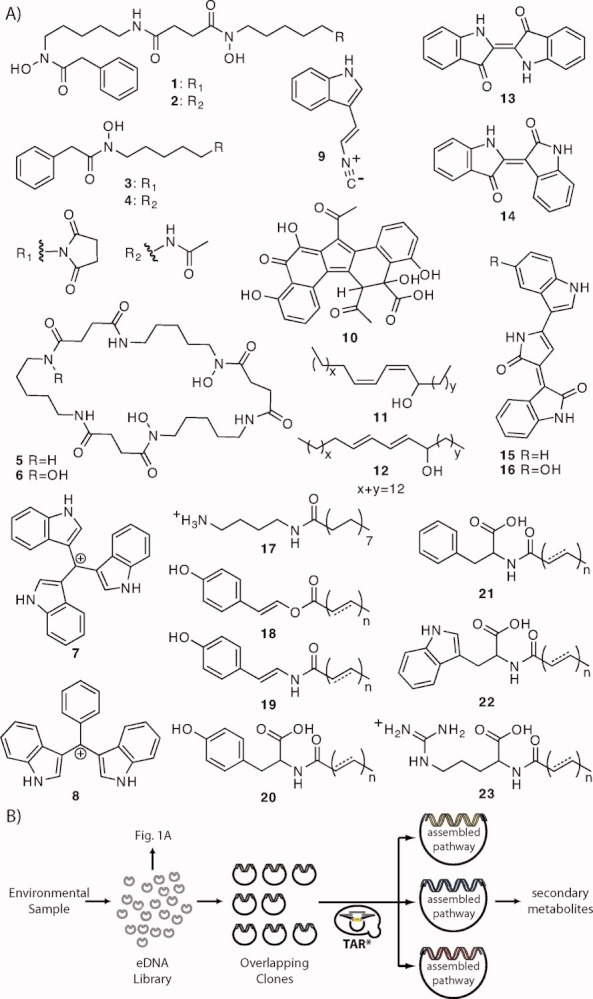 FIGURE 1