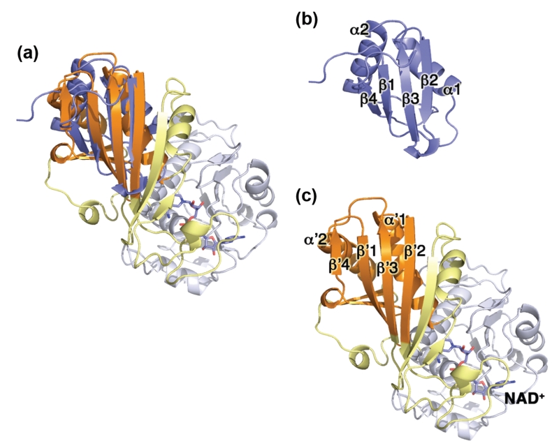 FIGURE 3