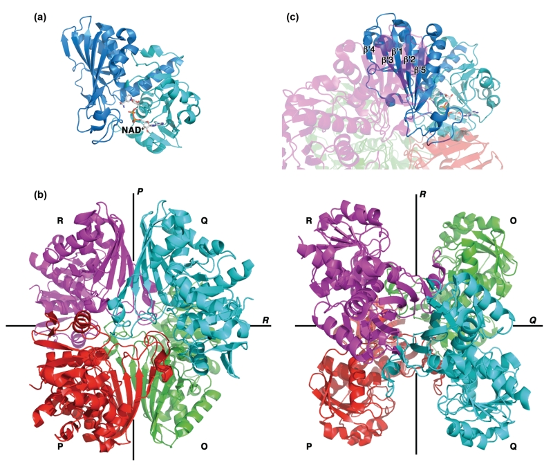 FIGURE 2